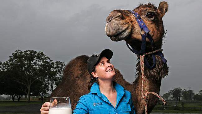 Kate Verrall from Summer Land Camels alongside 15 year old camel, Queenie. Picture: Zak Simmonds