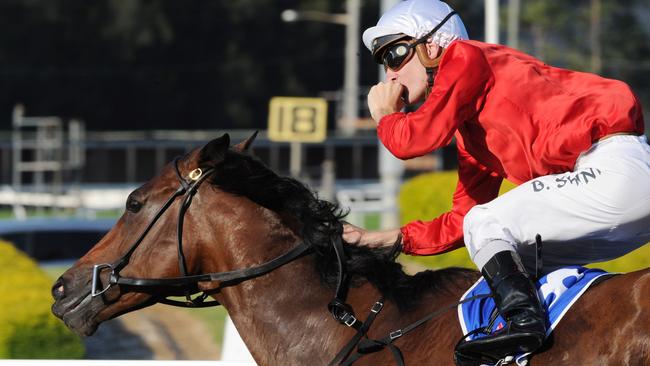 Zanbagh gave Blake Shinn a treble for the day at Rosehill. Picture: Simon Bullard