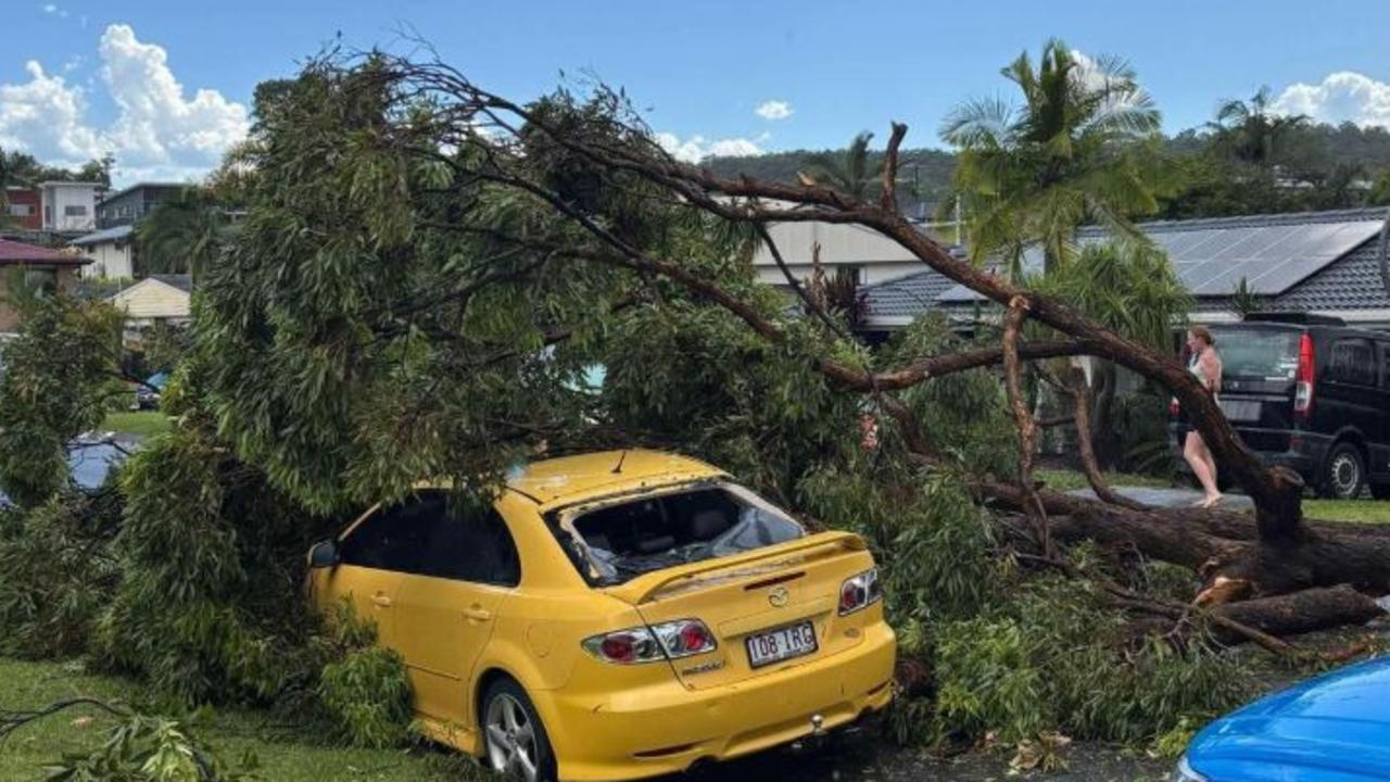 Why no warning was issued for Brisbane storm that downed trees, powerlines