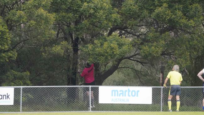 SFNL: The match between South Mornington and Moorabbin Kangaroos was halted after the ball got stuck in a tree. Picture: Valeriu Campan