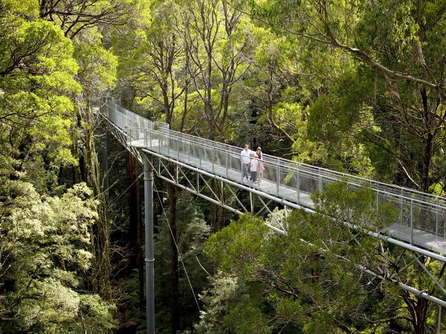 ESCAPE:  Family visit The Otway Fly Treetop Adventures attraction. Picture: Visit Victoria