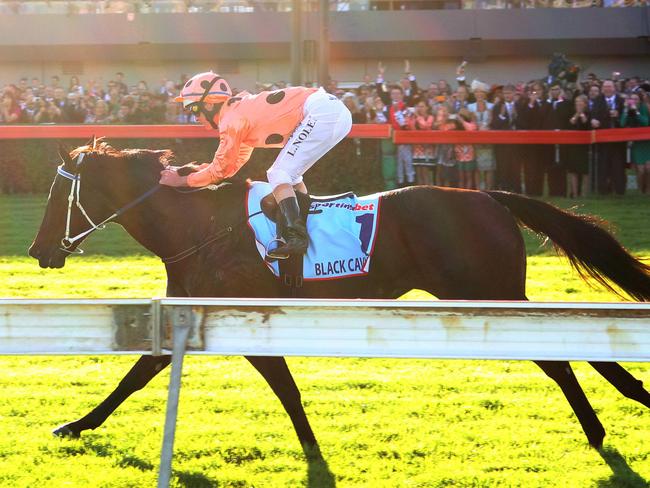 Horseracing - Oaks Day horseracing at Morphettville racecourse, SA. Racehorse Black Caviar ridden by jokey Luke Nolen leads the pack down the straight in front of a massive crowd during race 7.