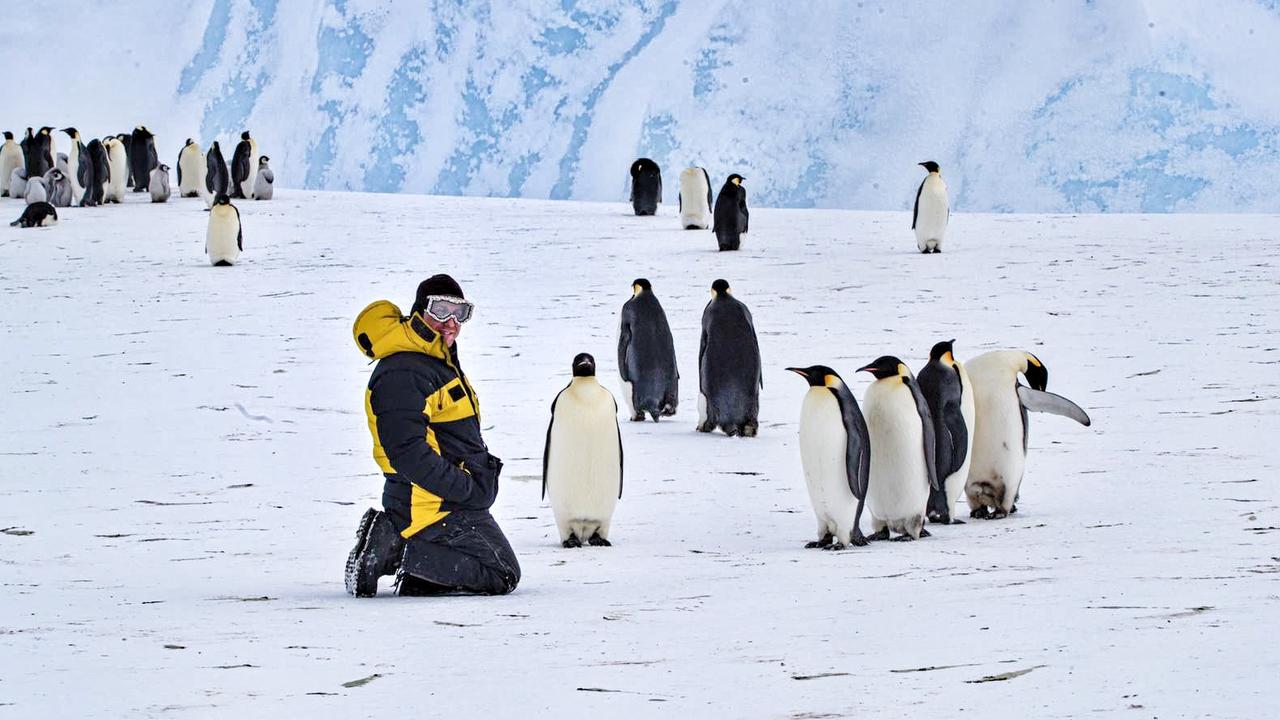 Antarctic expeditioner Matthew Williams and his mate Smudge the emperor penguin at the Auster rookery. Picture: Matthew Williams and Guy Edgar