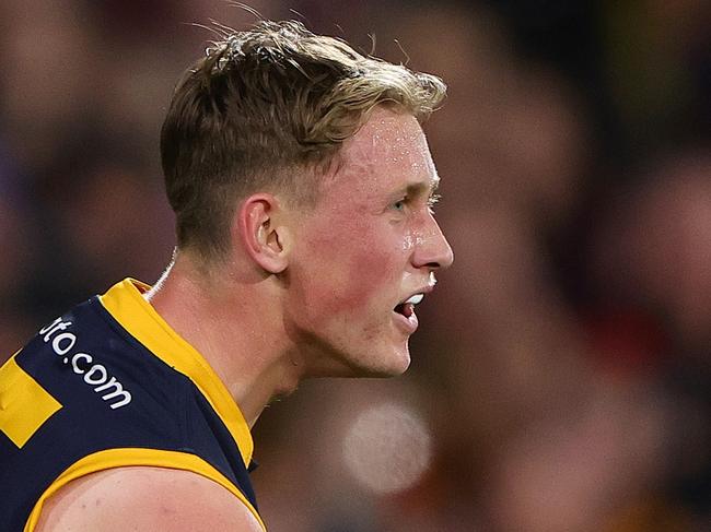 ADELAIDE, AUSTRALIA - MAY 02: Brayden Cook of the Crows celebrates a goal during the 2024 AFL Round 08 match between the Adelaide Crows and the Port Adelaide Power at Adelaide Oval on May 02, 2024 in Adelaide, Australia. (Photo by Sarah Reed/AFL Photos via Getty Images)