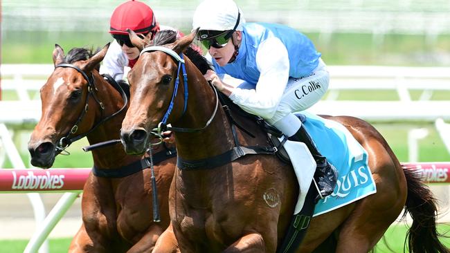 Secret Sort mows down the leader to win under apprentice Cody Collis for trainer Donna Stanbridge. Picture: Grant Peters - Trackside Photography.