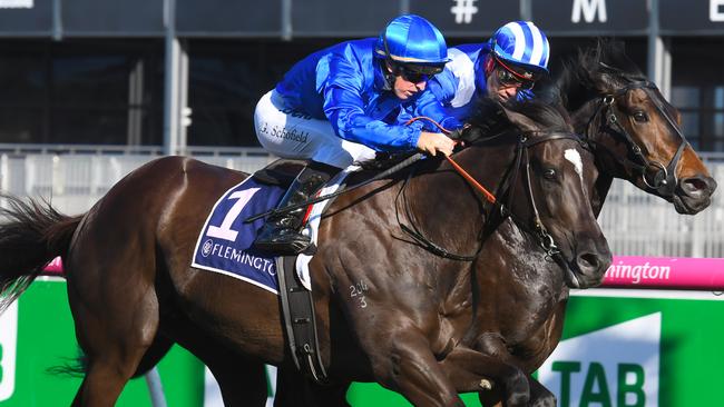 Avilius is unbeaten in four Australian starts. Picture: Getty Images