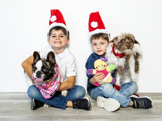 Hayden Callus, 6, with Airlie the French Bulldog and Flynn Callus, 4, with Lino the Chihuahua X Poodle model some of the cute festive gifts you can get last-minute for your pooch this year. Picture: Richard Walker