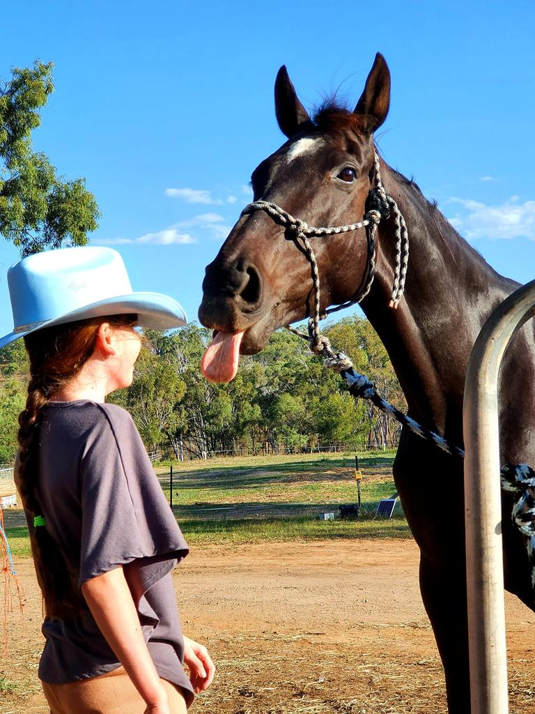 Morning Rewind Top 5 Stories You May Have Missed The Courier Mail