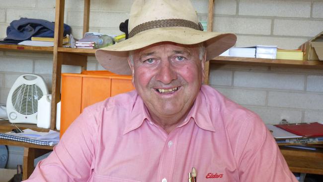 Elders Mt Gambier livestock manager David Creek says the sale is as strong as any he can recall during his 50 years in the business. Picture: Kate Dowler