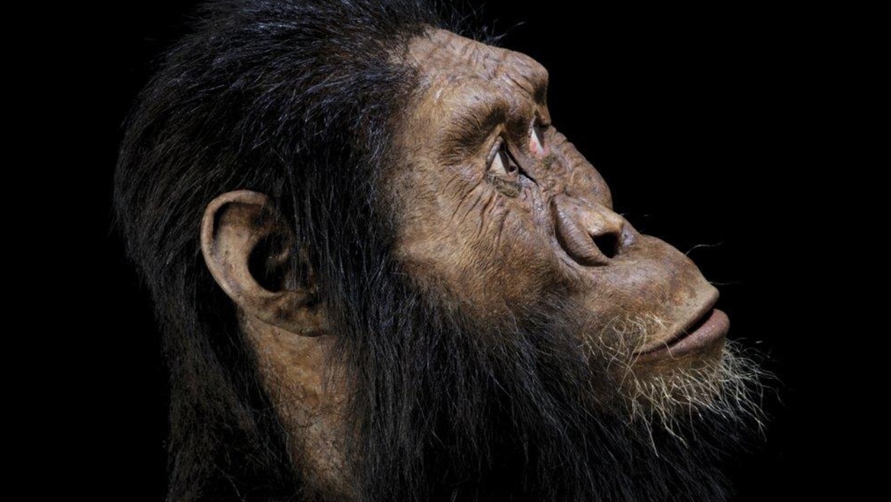 Facial reconstruction of fossilised skull of Lucy’s ancestor | KidsNews