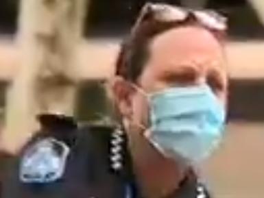 Queensland Police making arrests during Brisbane's three day lockdown for not wearing a mask Picture 9news