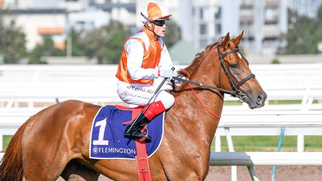 Vow And Declare will have a crack at a third Melbourne Cup. Picture: AAP