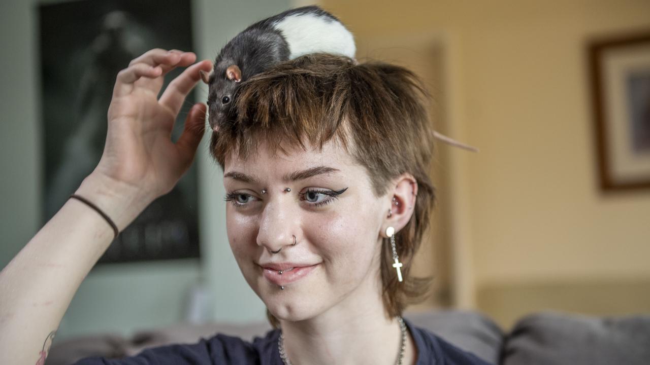 Freya Wiedman is a member of the Toowoomba and Surrounds Rodent Society pictured with Rico. Wednesday, December 8, 2021. Picture: Nev Madsen.