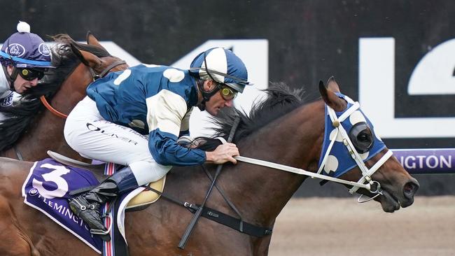 Sunsource represents some decent value in the Derby Trial at Flemington on Sunday. Picture: Scott Barbour–Racing Photos via Getty Images