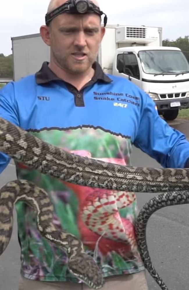 Stu holding up the massive python after rescuing it from the car. Picture: Storyful