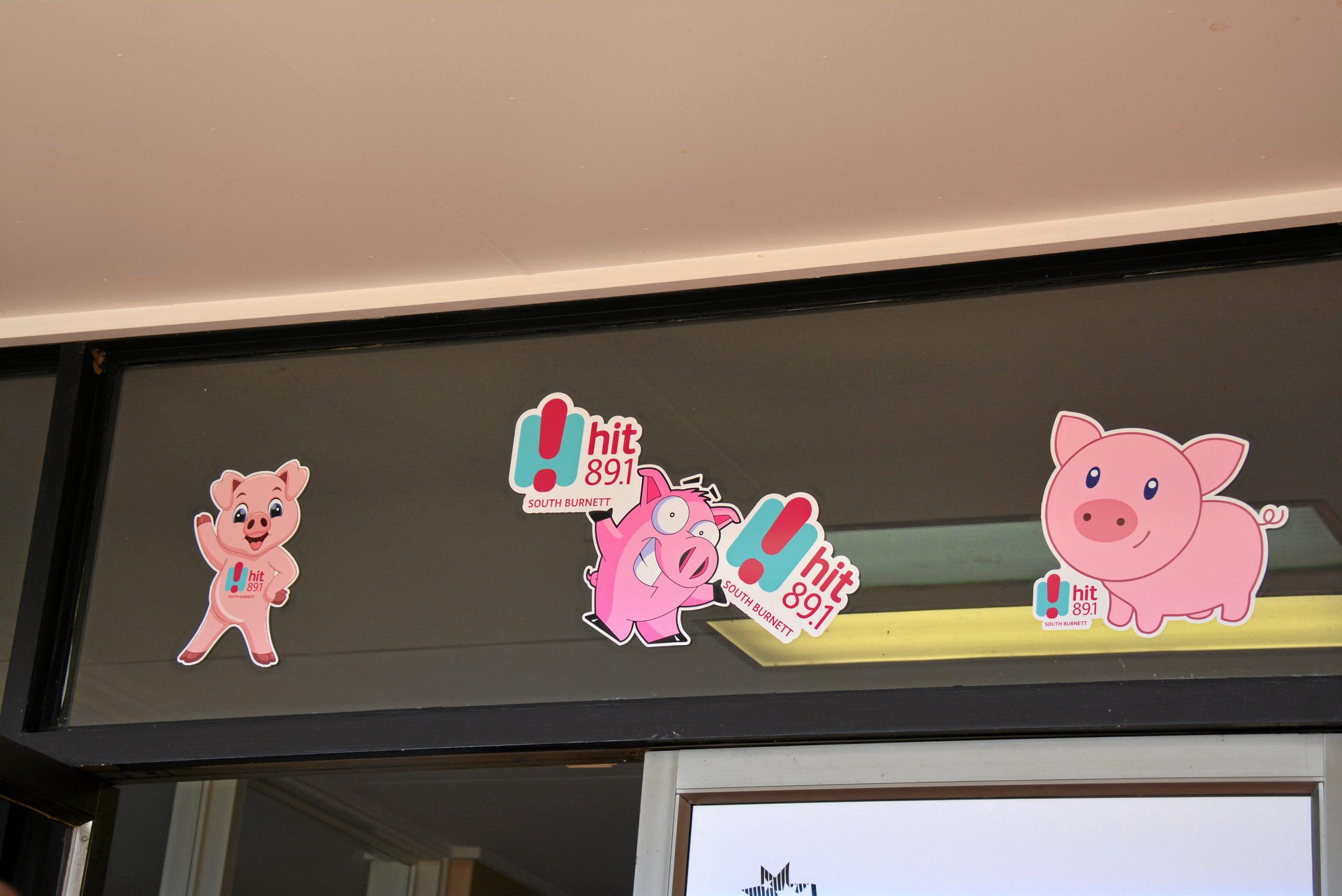 Have you spotted the pigs hanging around the Hit 89.1 South Burnett station getting ready for BaconFest? Picture: Jessica McGrath