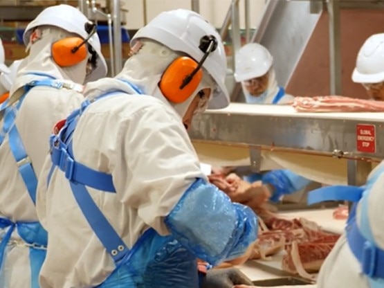 270 jobs are set to be axed in early 2026 at the Seven Point Pork Abattoir, Port Wakefield. Picture: Website