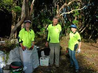 MIGHTY EFFORT: Rochelle Gooch and her team weeding the entrance to Peregian Beach. Picture: Peter Gardiner