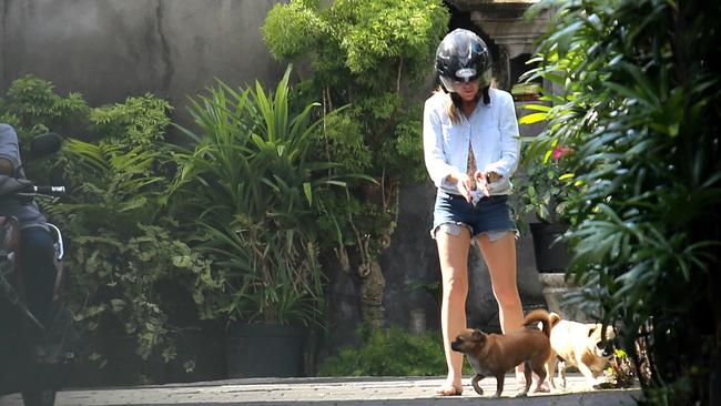 Mercedes Corby is greeted by Schapelle's dogs as she arrives back to organise her sister’s departure from Indonesia.