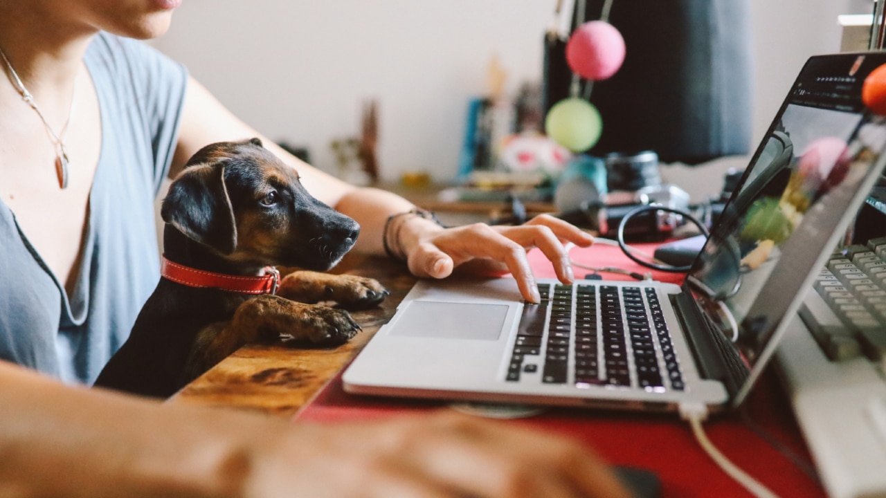 Businesses losing 'arm wrestle' with employees over working from home