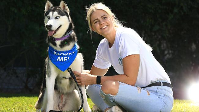 In an effort to find loving homes for as many neglected, homeless and abused animals as possible, RSPCA Queensland is calling on the community to participate in its major annual fundraising appeal, Give To Get Them Home, to support the care of animals, as well as helping to provide lifesaving treatment for animals in need. Champion swimmer Shayna Jack meets Ã&#146;FrostÃ&#147; a 19 month old Husky cross. Pics Adam Head