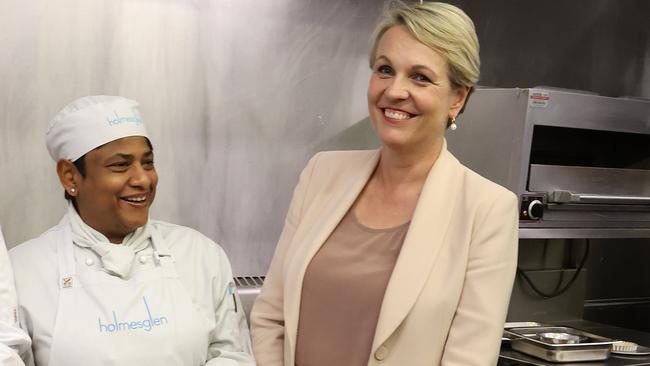 Labor’s Tanya Plibersek all smiles. Picture: Liam Kidston