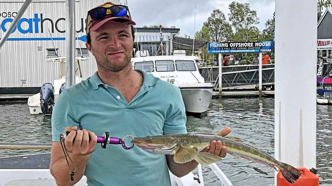 Gotcha - Fan from Toowoomba caught this 60cm flathead in the lower estuary while on a Noosa River Fishing Safari. Picture: www.fishingnoosa.com.au