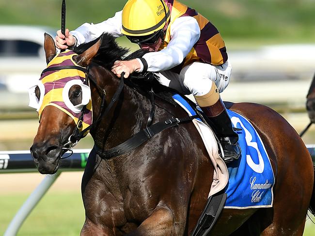 Jockey Jim Byrne rides Most Important to win race 8, the Lough Neagh Stakes, during the Doomben Race Day at the Doomben Racecourse in Brisbane, Saturday, December 16, 2017. (AAP Image/ Albert Perez) NO ARCHIVING, EDITORIAL USE ONLY