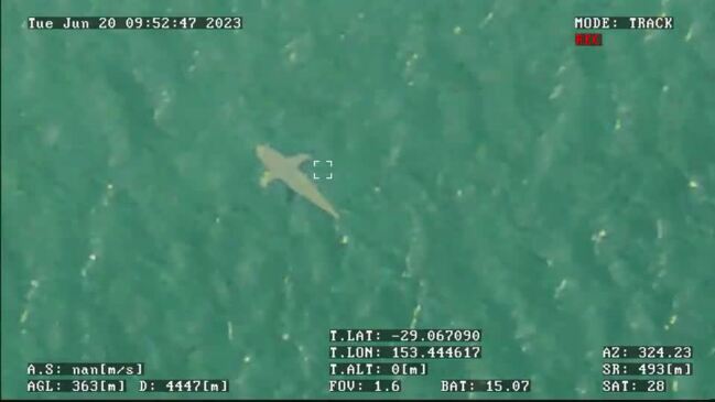 Shark Detection Flight Technologies