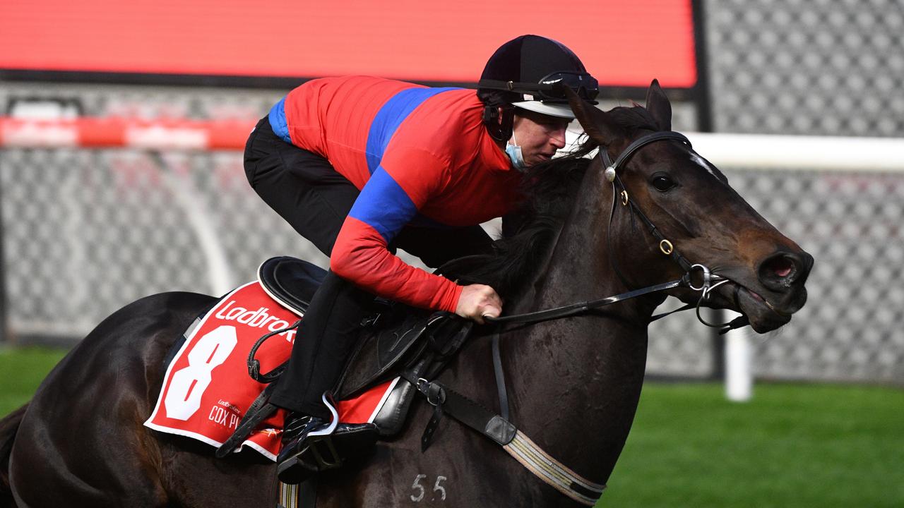 Verry Elleegant won the 2020 Racehorse of the Year and Caulfield Cup. Photo by Vince Caligiuri/Getty Images)