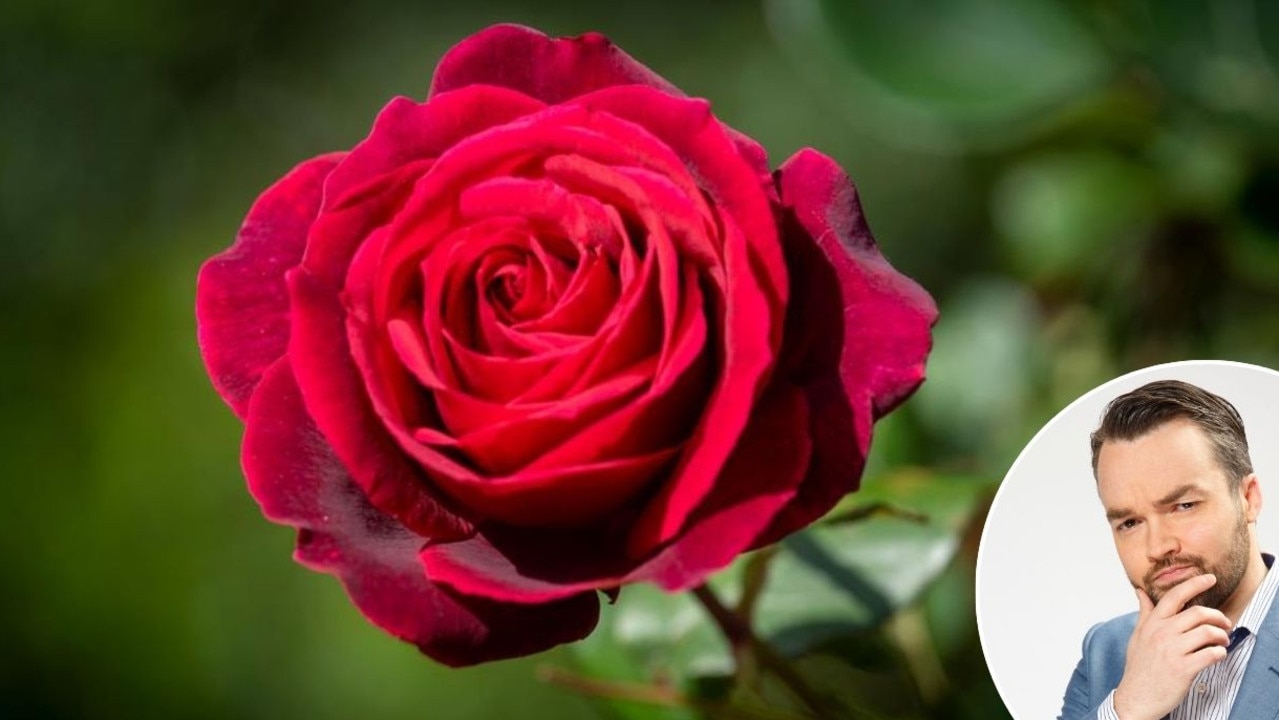 Which poet wrote the famous line ‘My love is like a red, red rose’?