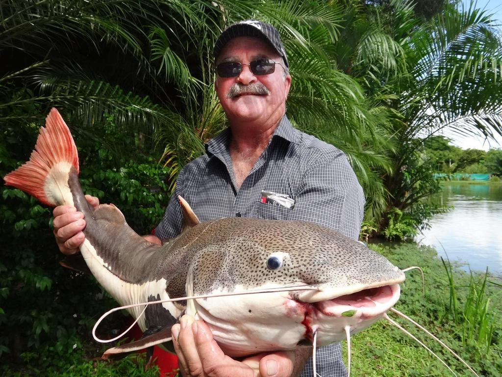 Kevin Darmody went missing at Lakefield National Park on Saturday and is suspected to have been taken by a crocodile.