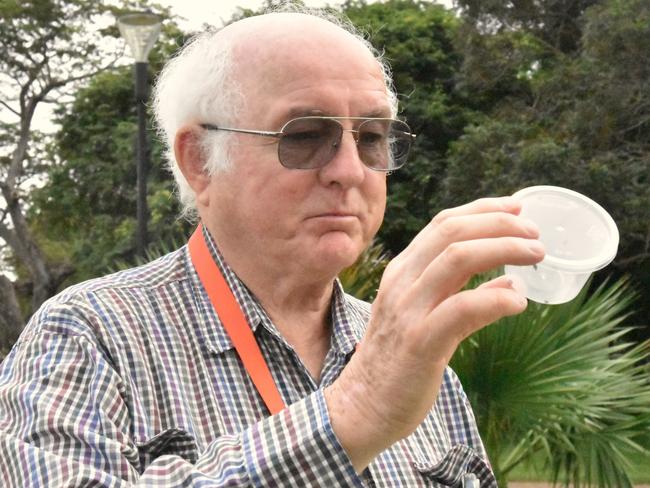 Principal Entomologist Brian Thistleton releases mealybug ladybirds (cryptolaemus) into a frangipani tree to target problematic mealybugs.
