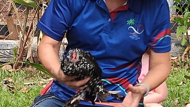 Penny Frost is raising money via GoFundMe for a new chicken coop at Jingili Primary School.
