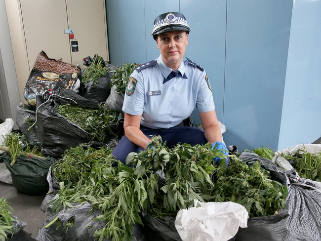 Sgt. Susan Gill with the bags of cannabis dumped in the bush. Picture: Adam Ward