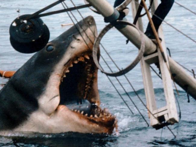 The Shark from the movie Jaws. - Supplied