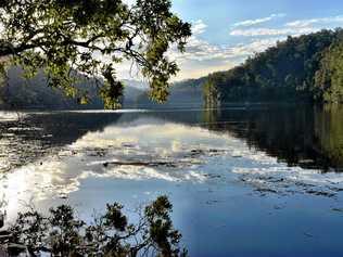 TOP CAMPING SPOTS: Iron Pot Creek campground is set among shady rainforest trees with a pristine creek for swimming, inside the Toonumbar National Park. Picture: Susanna Freymark