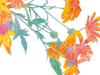 Hello blossoms! Beauty of the natural world captured by the pen