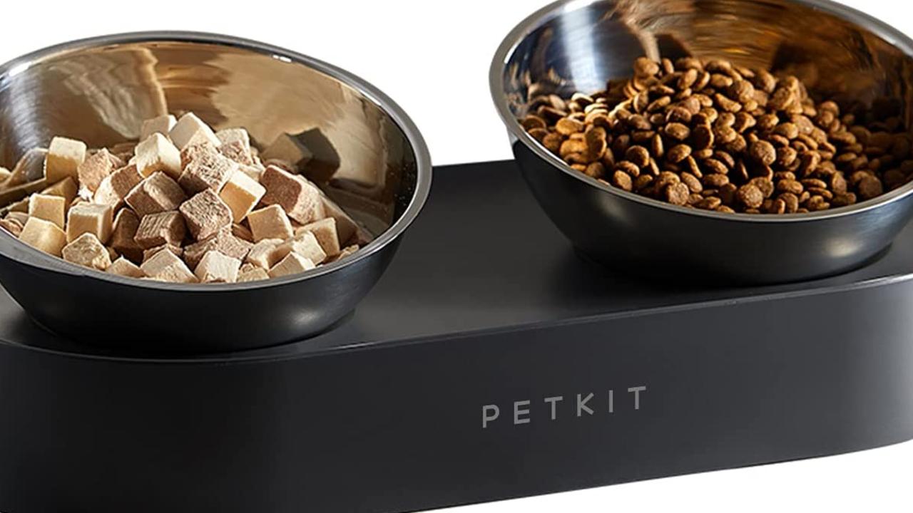 This food bowls can reduce the chance of mess.