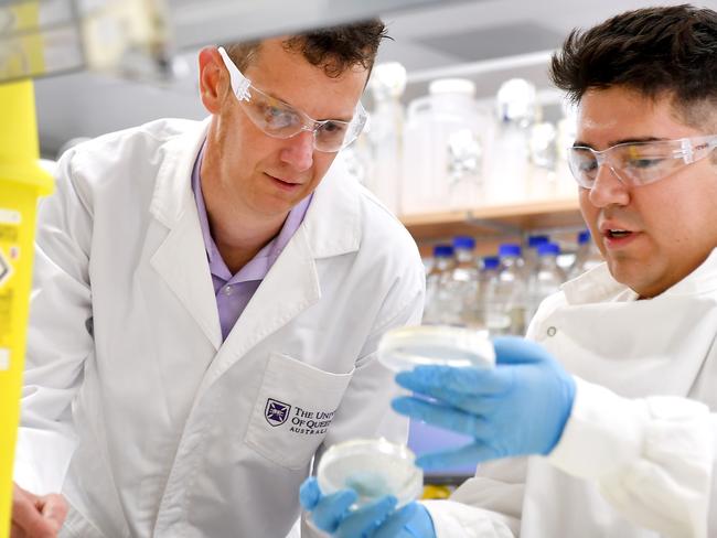 BRISBANE, AUSTRALIA - NewsWire Photos NOVEMBER 25, 2022:  Associate Professor Keith Chappell inside the labs at Australian Institute for Bioengineering and Nanotechnology (AIBN) University of QueenslandPicture: NCA NewsWire / John Gass