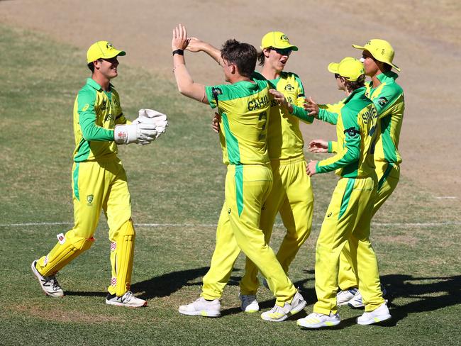 The U19 carnival has helped launch the careers of Travis Head and Will Pucovski, who have both played test cricket for Australia. Picture: Michael Steele