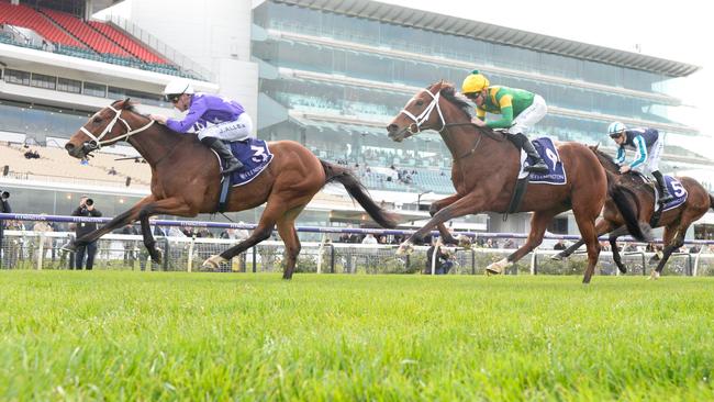 Taramansour (yellow cap) has placed in four of the past five starts, including twice at Flemington. Picture: Brett Holburt/Racing Photos via Getty Images