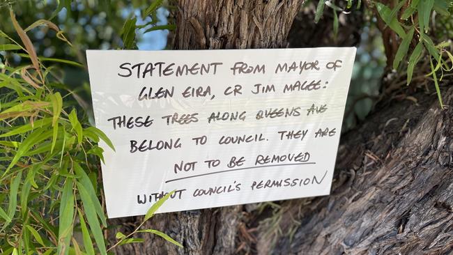 Street tree fight: Queens Ave residents are gearing up to defend their trees. Picture: Lucy Callander