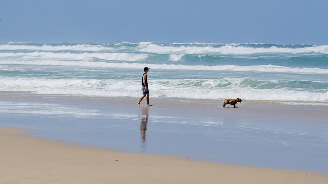 People walking dogs along Yeppoon Main Beach will need to take a 400 metre detour onto a footpath when new laws come into play. ea. Picture: Jerad Williams