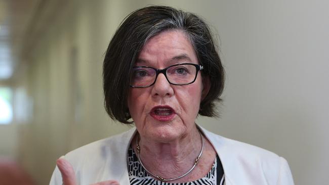 Independent MP Cathy McGowan. Picture: Kym Smith