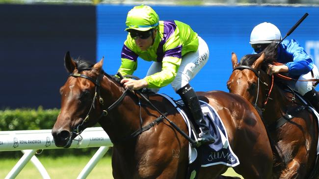 SYDNEY, AUSTRALIA - DECEMBER 21: Tommy Berry riding Pallaton wins Race 1 Shinzo @ Coolmore Plate during Sydney Racing at Royal Randwick Racecourse on December 21, 2024 in Sydney, Australia. (Photo by Jeremy Ng/Getty Images)