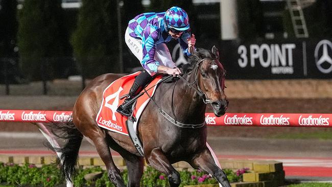 Ciaron Maher was questioned by Racing Victoria stewards over his decision to enter Pride Of Jenni for Saturday’s Toorak Handicap. Picture: Racing Photos via Getty Images