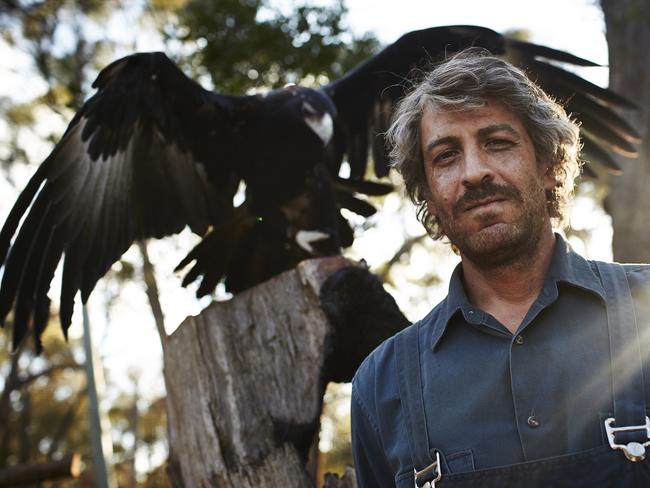 Don Hany was comfortable around the three wedge-tailed eagles he worked with in filming.