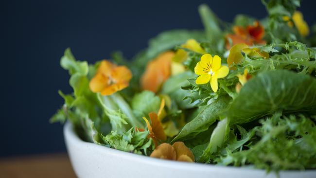 Green salad with edible flowers.