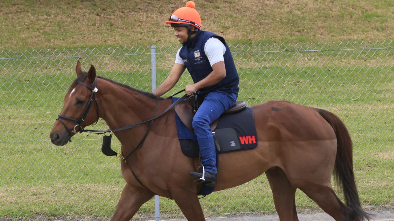 International Runners Arrive In Sydney For Spring Racing Carnival